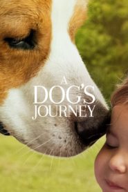 فيلم A Dog’s Journey 2019 مترجم